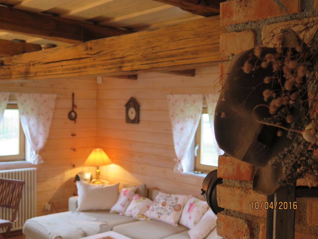 Apartments Montana Fužine Екстериор снимка